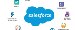 Salesforce SaaS